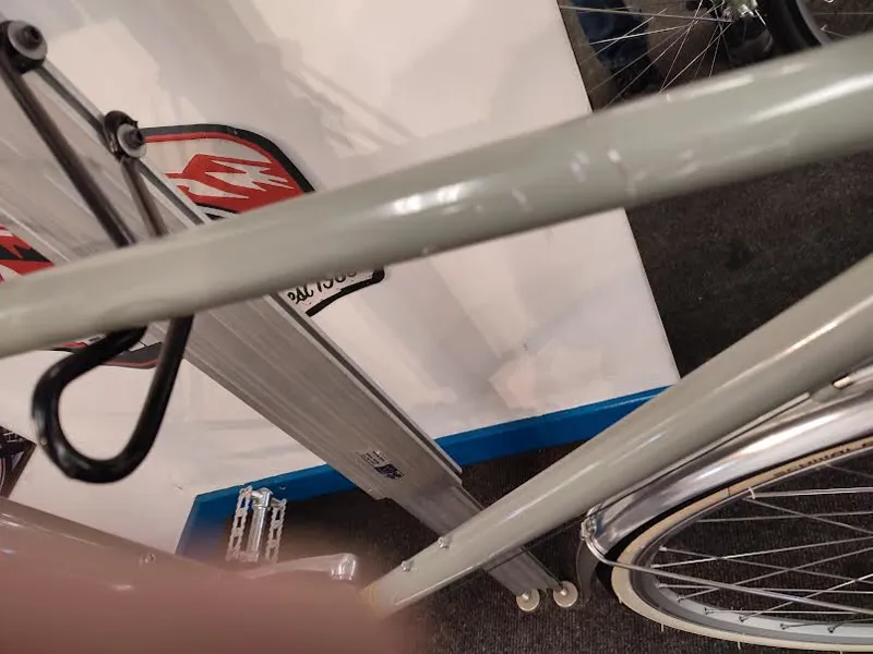 Temple Classic Lightweight Bike in lichen green-1