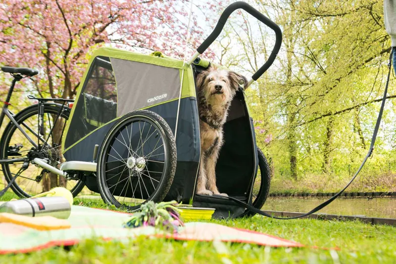 Croozer Jokke Dog Trailer 45 kg in Grasshopper Green-6
