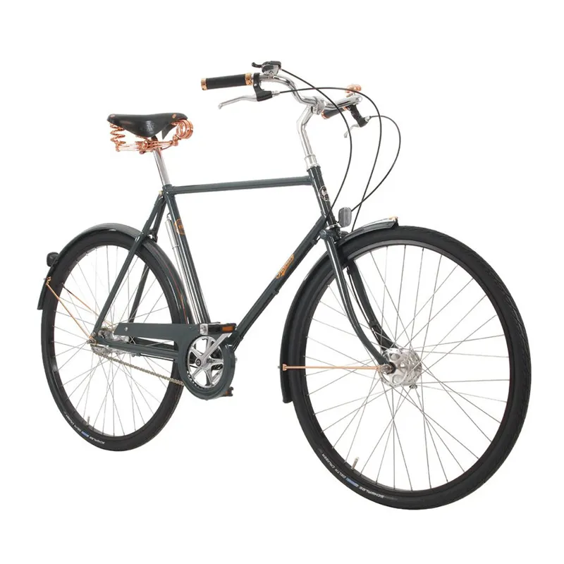 Roadster 150th Anniversary Bike in Ble