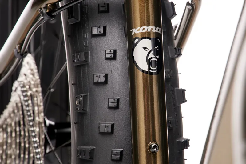 2021 Kona Wo Fat Bike in Gloss Metallic Champagne-4