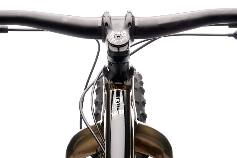 2021 Kona Wo Fat Bike in Gloss Metallic Champagne-8