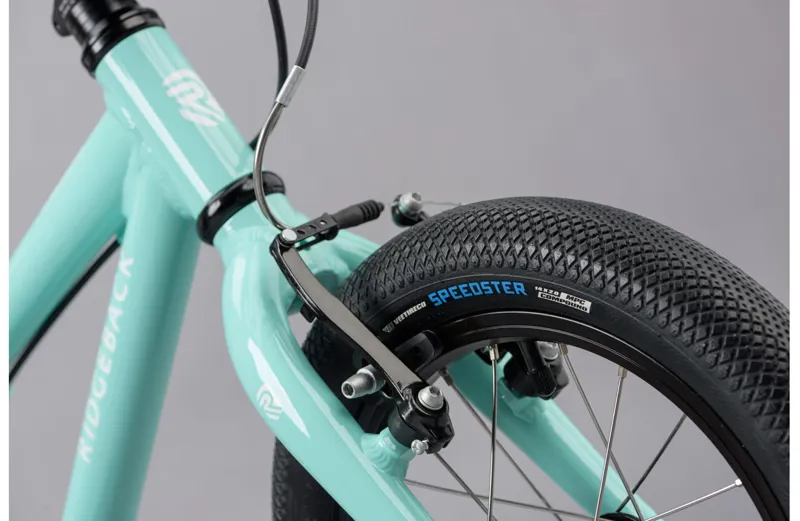 Ridgeback Dimension 14 Kids Bike in Teal-4