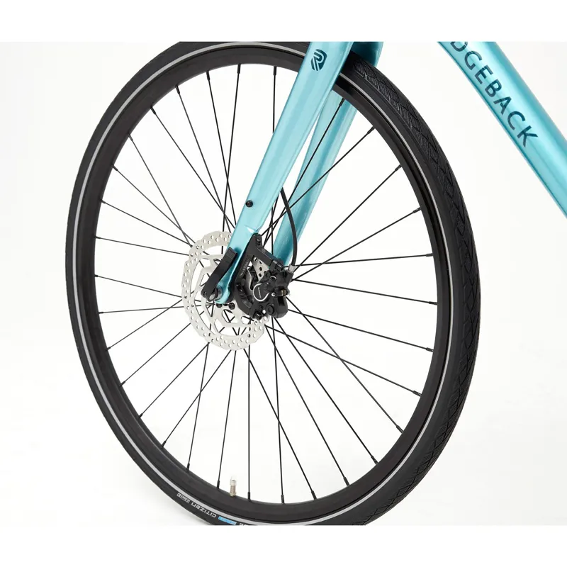 ridgeback tempest 2020 review