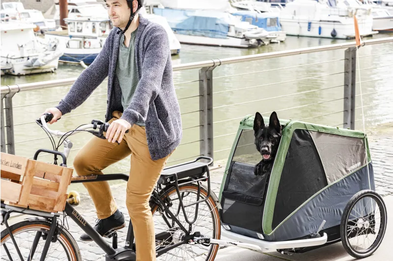 Croozer Brunno Dog Trailer 45 kg in Pine Green-5