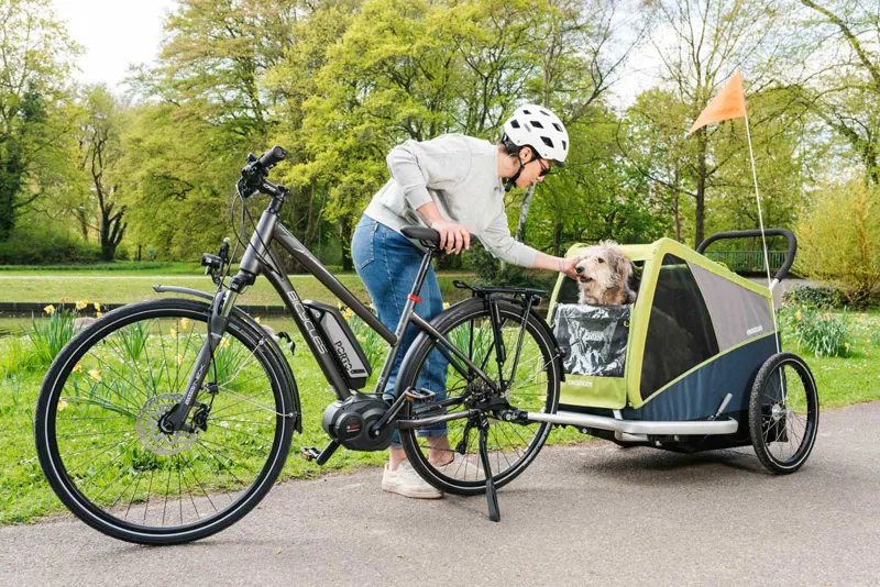 Croozer dog bike trailer