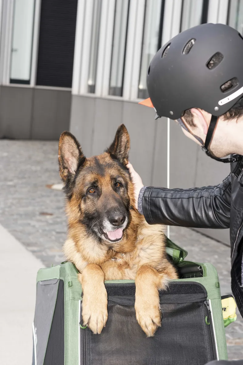 Croozer Brunno Dog Trailer 45 kg in Pine Green-8