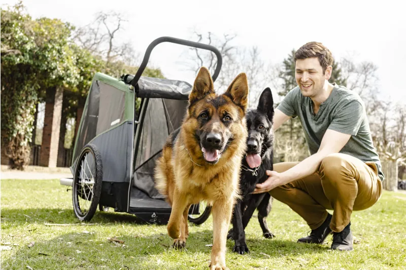 Croozer Brunno Dog Trailer 45 kg in Pine Green-9