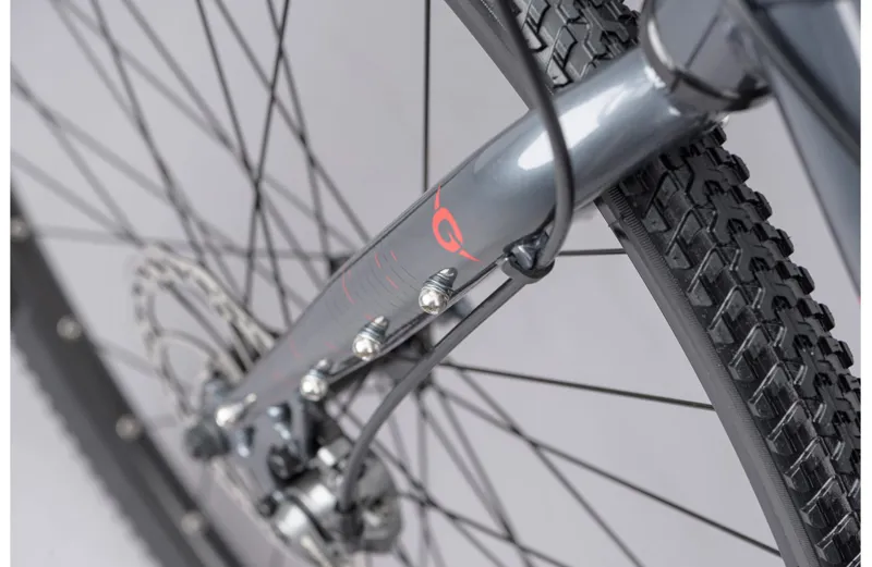 Genesis Flyer Single Speed Bike in Grey-4