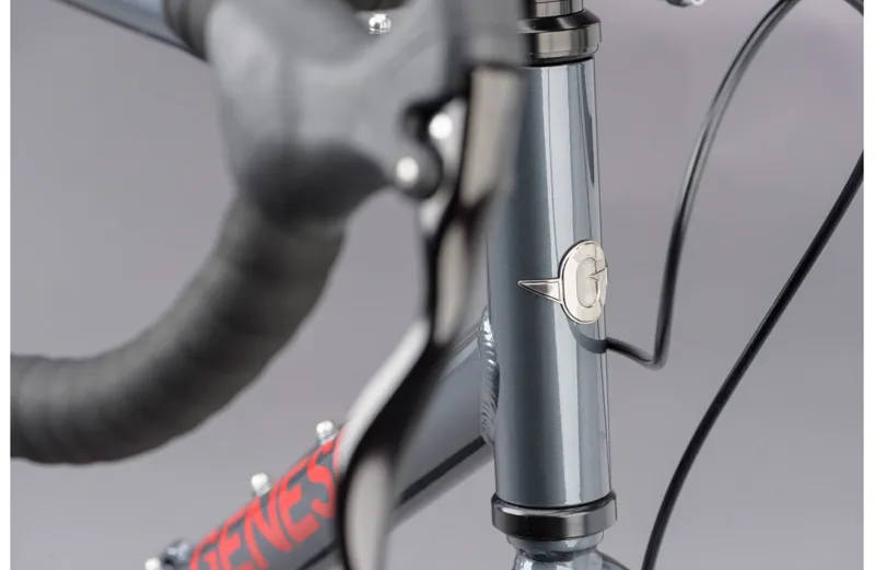 Genesis Flyer Single Speed Bike in Grey-2