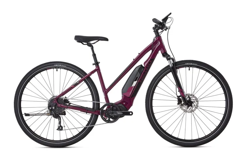 Ridgeback ladies bikes uk cheap