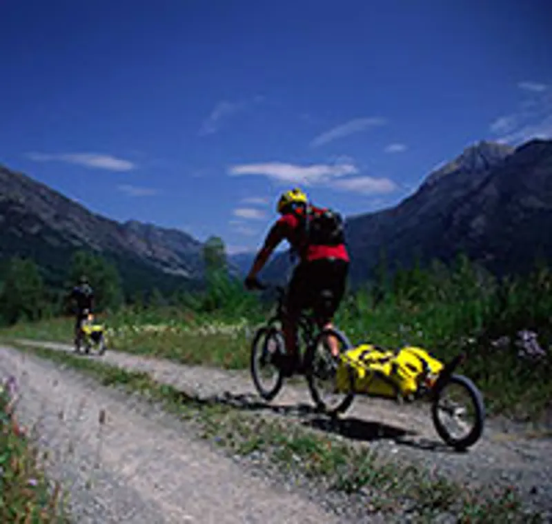 BOB IBEX 26 Trailer With BOB Bag Gold-3