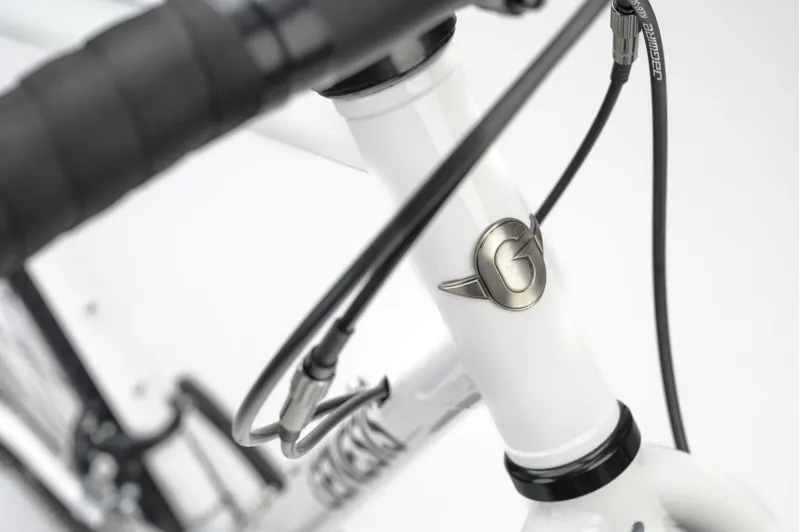 Genesis Croix De Fer 10 Steel Gravel Bike in Whitehouse Family-3