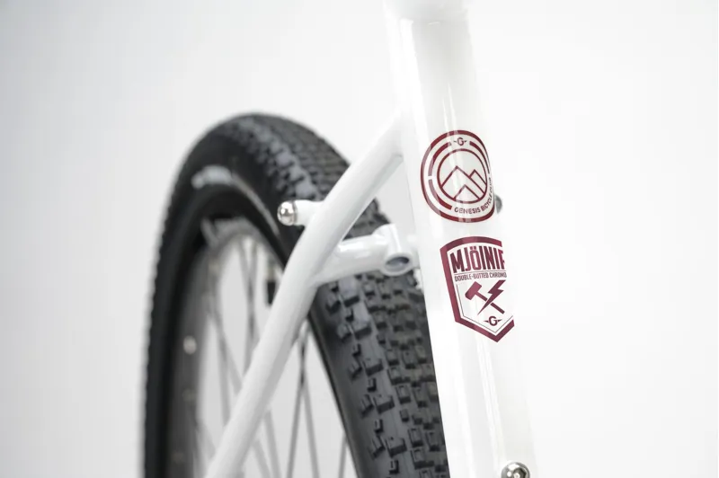 Genesis Croix De Fer 10 Steel Gravel Bike in Whitehouse Family-4