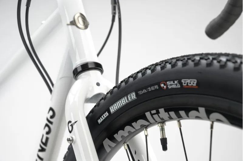 Genesis Croix De Fer 10 Steel Gravel Bike in Whitehouse Family-5