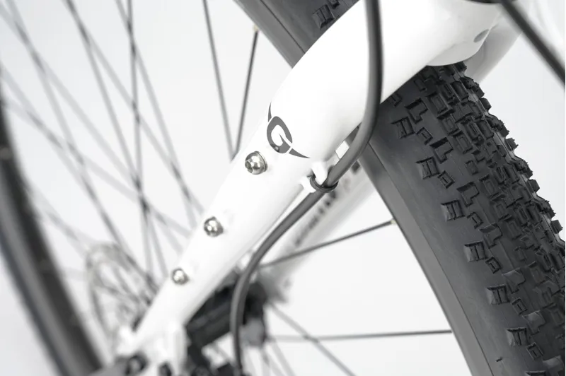 Genesis Croix De Fer 10 Steel Gravel Bike in Whitehouse Family-10