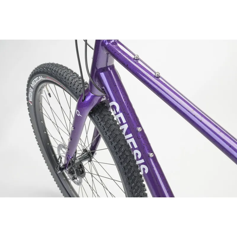 Genesis Fugio 10 Gravel Bike in Stone Temple Violets-7