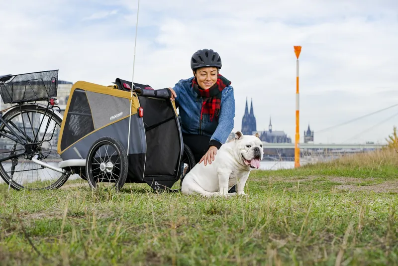 Croozer Peppa Dog Trailer Pinapple in Yellow-6