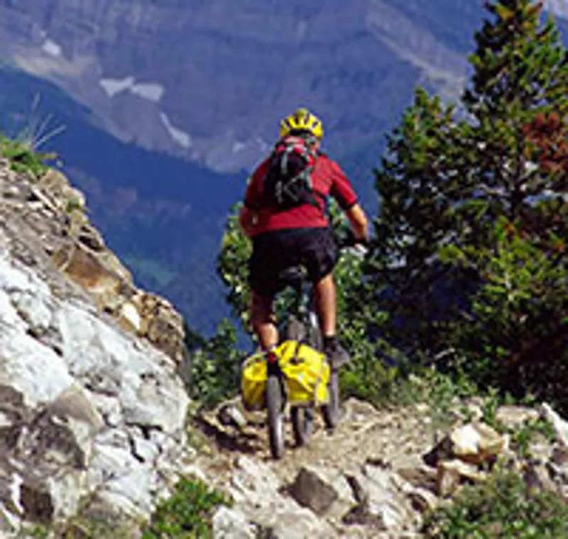 BOB IBEX 26 Trailer With BOB Bag Gold-4