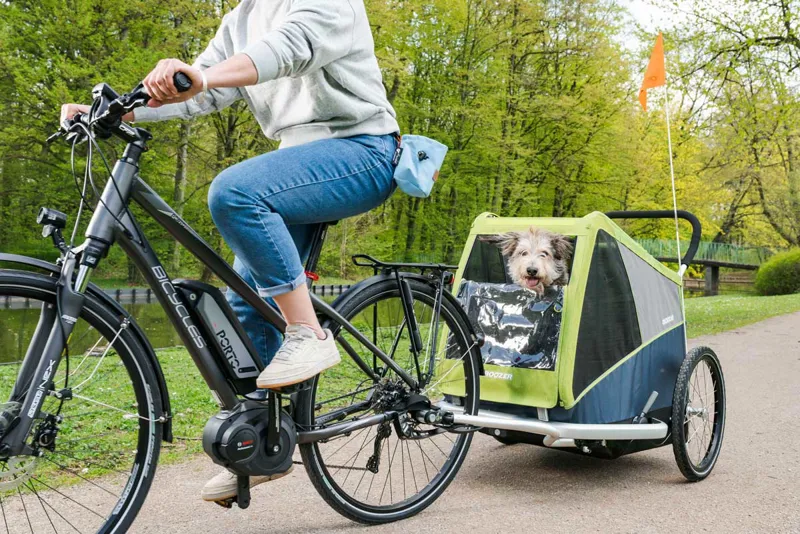Croozer Jokke Dog Trailer 45 kg in Grasshopper Green-9