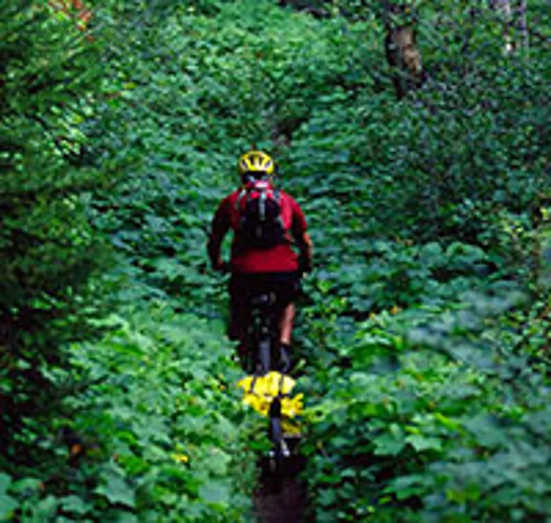 BOB IBEX 28 Trailer With BOB Bag Gold-4