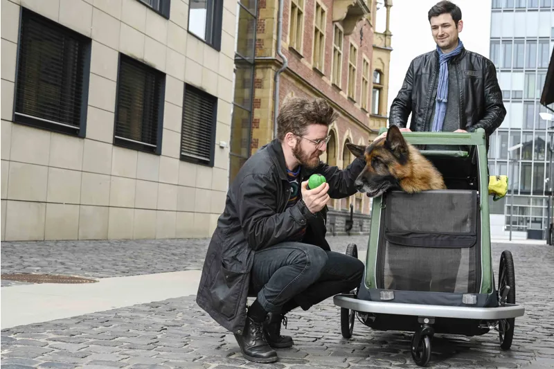 Croozer Brunno Dog Trailer 45 kg in Pine Green-10