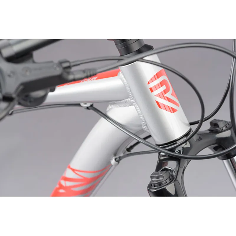 Ridgeback Terrain 4 Mountain Bike in Silver-10