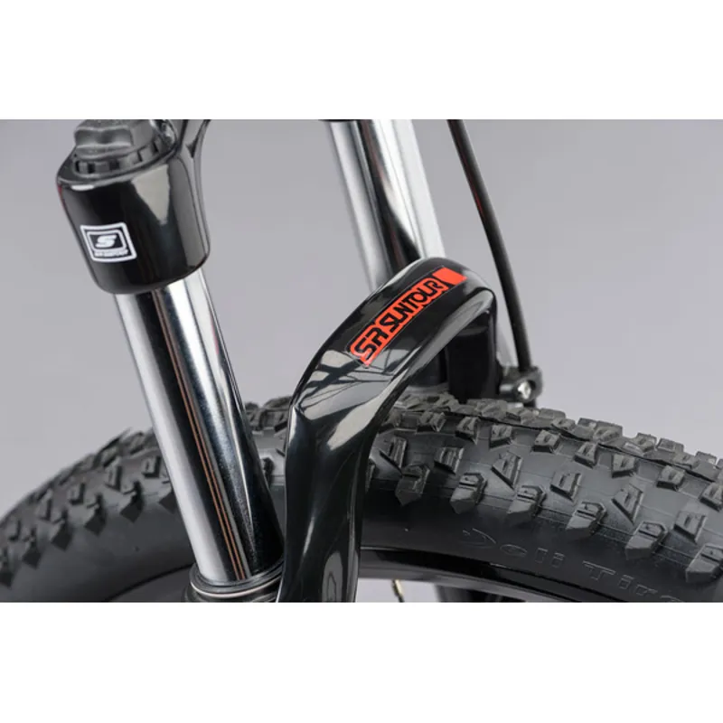 Ridgeback Terrain 4 Mountain Bike in Silver-7