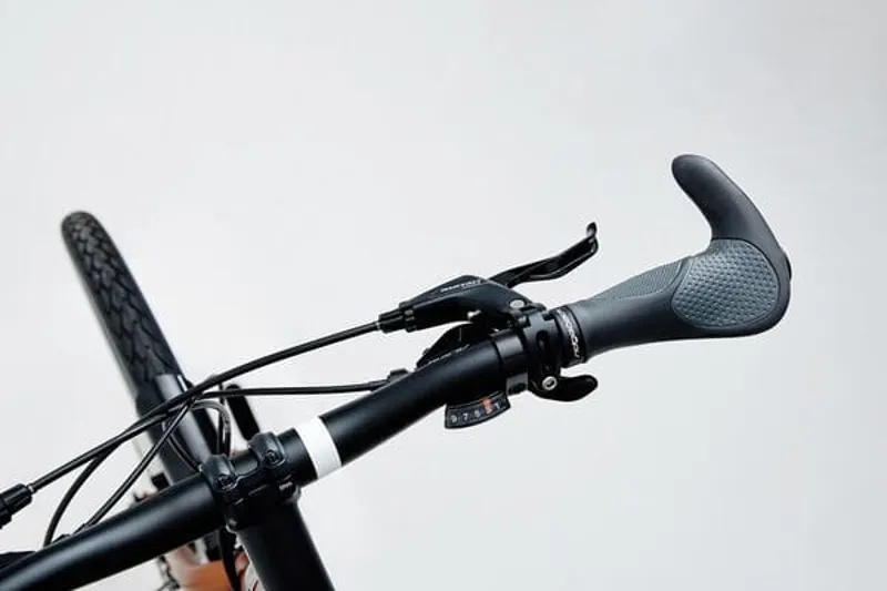 Ridgeback Expedition Touring Bike in Copper-3