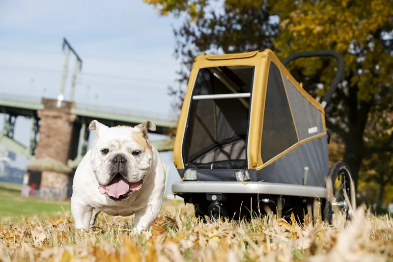 Croozer Peppa Dog Trailer Pinapple in Yellow-8