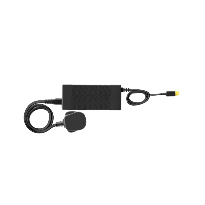 Swytch Standard Charger - 2A in Black